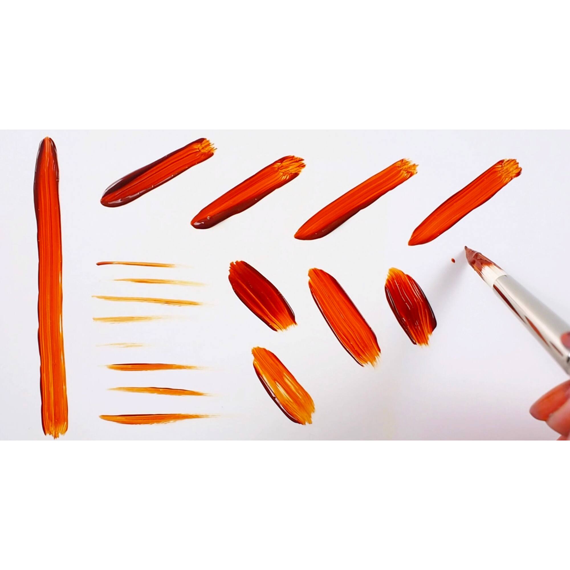 Silver Brush Limited Bristlon Short Handle Round Brushes Set